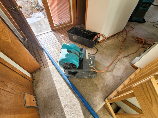 Best Basement water damage restoration  in Rahway, NJ