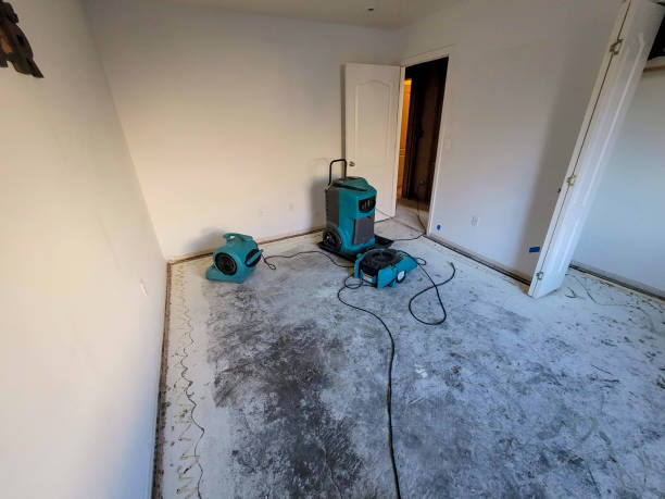 Best Water damage restoration insurance claims  in Rahway, NJ