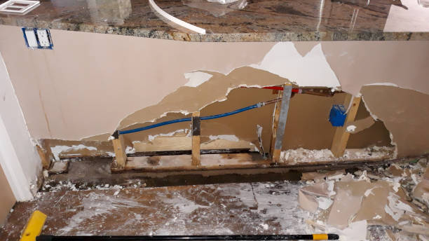 Best Water damage contractors near me  in Rahway, NJ