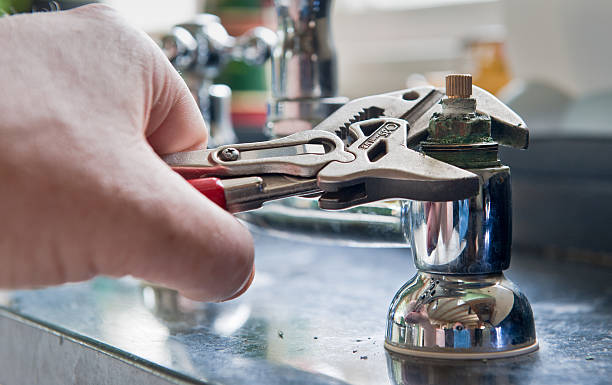 Best Mold removal after water damage  in Rahway, NJ