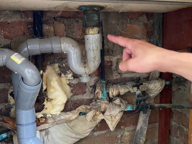 Best Water damage restoration company  in Rahway, NJ